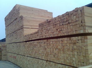 建筑材料銷(xiāo)售行業(yè)的領(lǐng)航者 一呼百應(yīng)公司頻道的崛起與價(jià)值